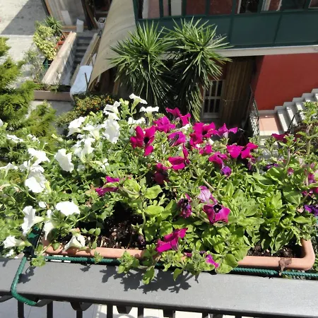 La Lampara * Sestri Levante